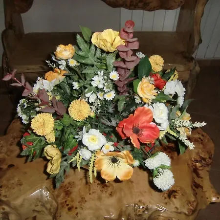 컨트리하우스 O Lar Da Avoa